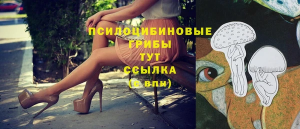герыч Арсеньев