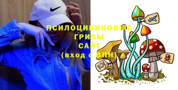 гидра Армянск