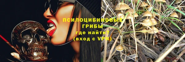 гашик Пестово