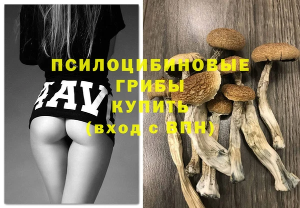 сатива Алзамай