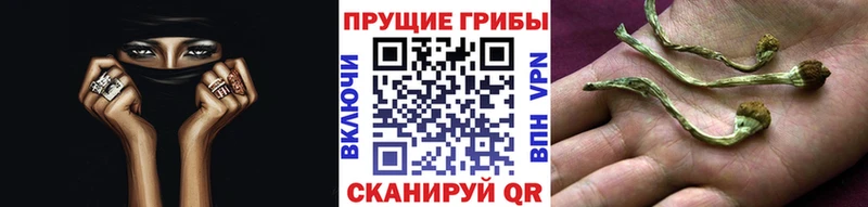 Галлюциногенные грибы Cubensis  Балахна 